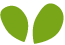https://www.momswear.in/wp-content/uploads/2022/04/green_leaf.png